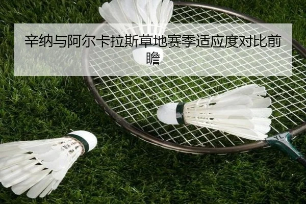 辛纳与阿尔卡拉斯草地赛季适应度对比前瞻