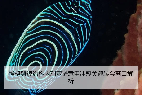ai-ge-nu-xu-yue-ke-nei-li-ya-nuo-yi-jia-chong-guan-guan-jian-zhuan-hui-chuang-kou-jie-xi-3-542.jpg